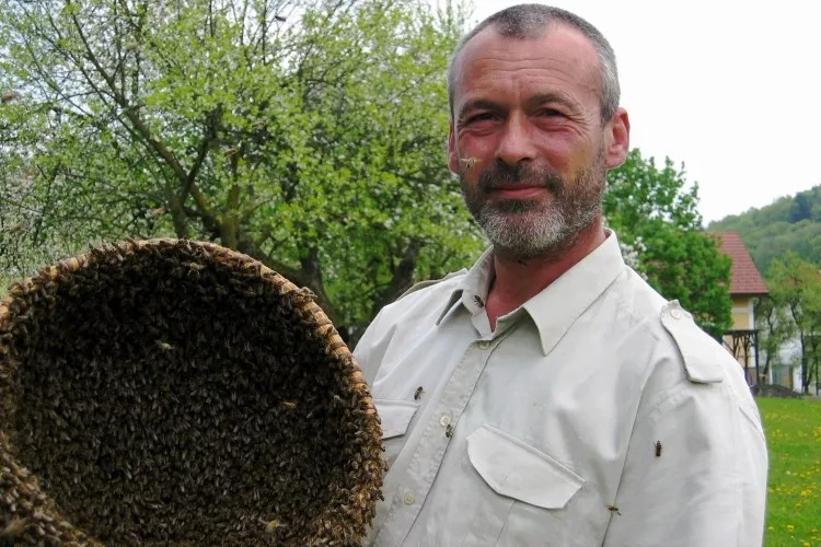 Imker im hellen Arbeitshemd hält eine dicht mit Bienen besetzte Wabe vor sich, im Hintergrund eine Wiese