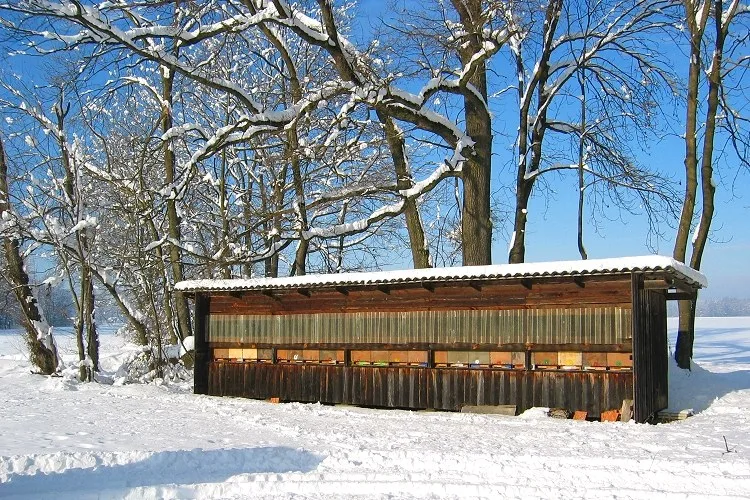 Langes hölzernes Bienenhaus im Schnee, dahinter kahle Obstbäume