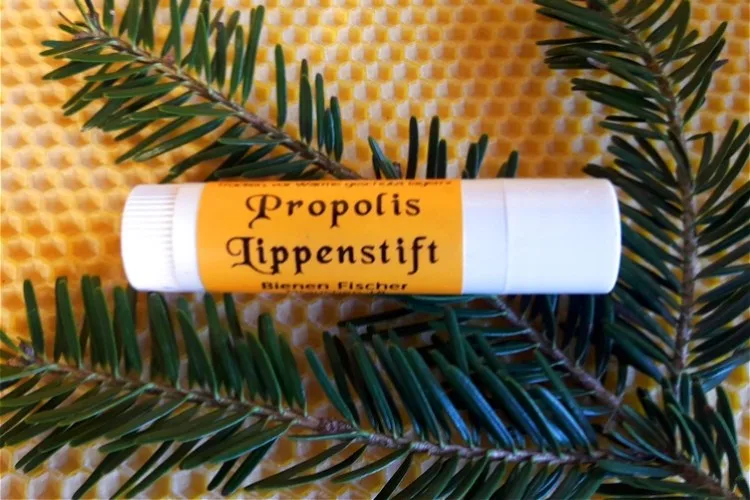 Propolis-Lippenstift der Imkerei auf einem Tannenzweig vor einer Wabenplatte