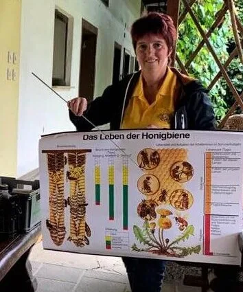Frau in gelbem Poloshirt zeigt mit einem Zeigestab auf eine Schautafel mit dem Titel Das Leben der Honigbiene